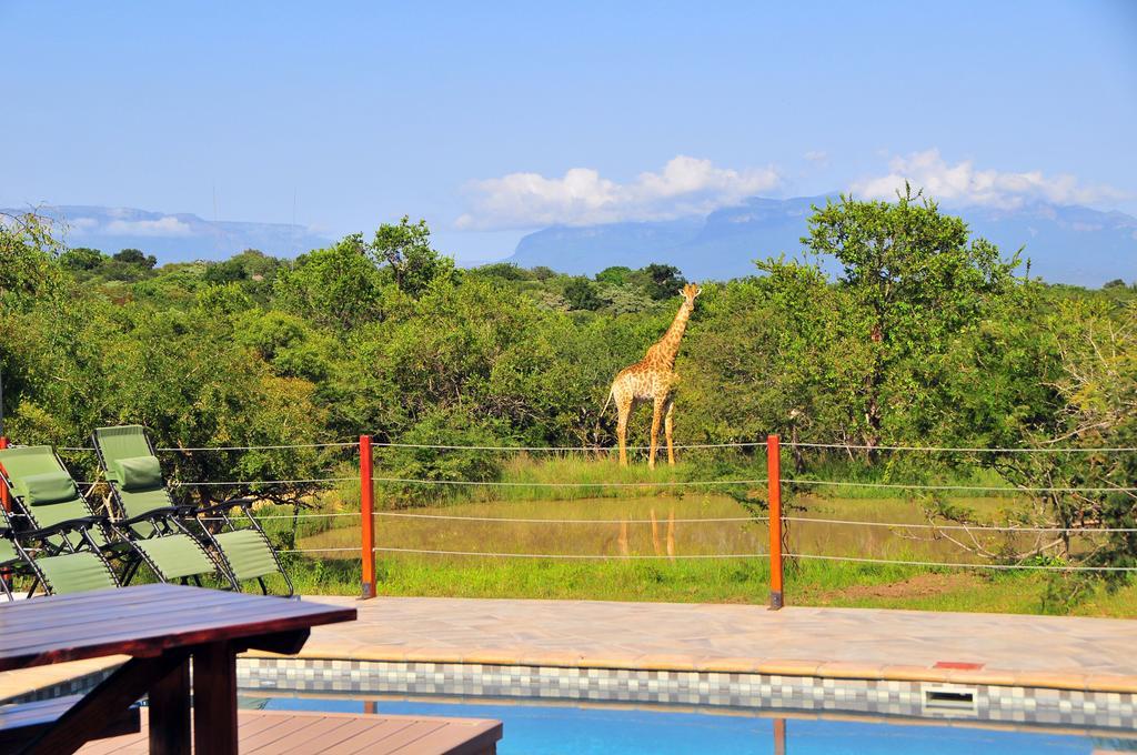 Cheetah Paw Eco Lodge Guernsey Nature Reserve Exterior foto
